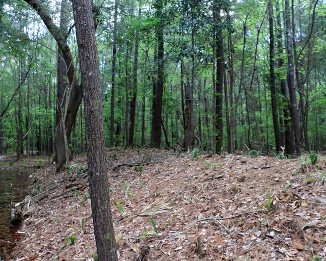 Ft. Fair Lawn Redoubt Site — photo 2