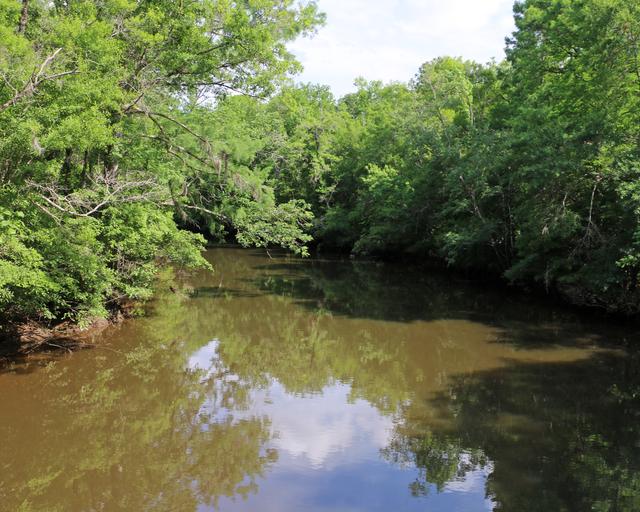 Wambaw Creek — photo 2