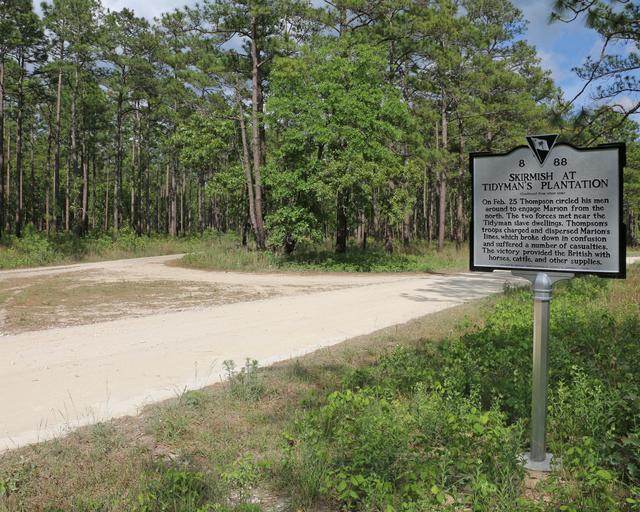 Skirmish at Tidyman’s Plantation — photo 3