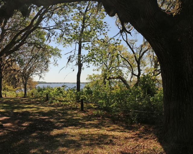 Mepkin Plantation Site — photo 3