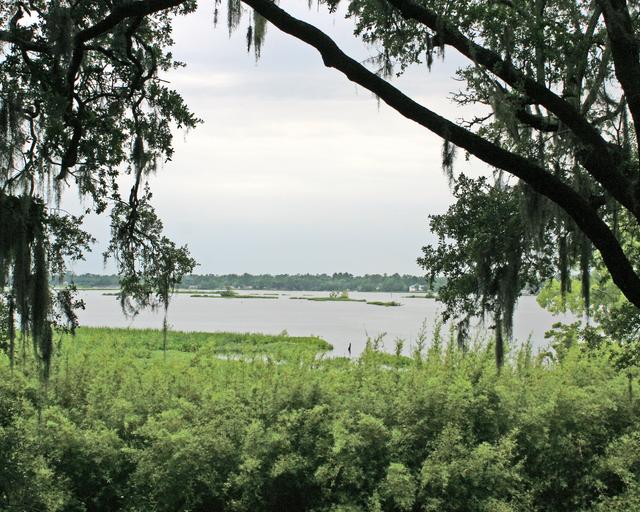 Mepkin Plantation Site — photo 4