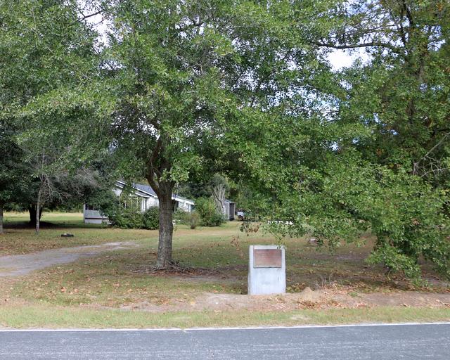 Maham Plantation — photo 2
